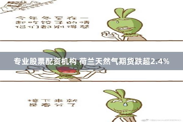 专业股票配资机构 荷兰天然气期货跌超2.4%