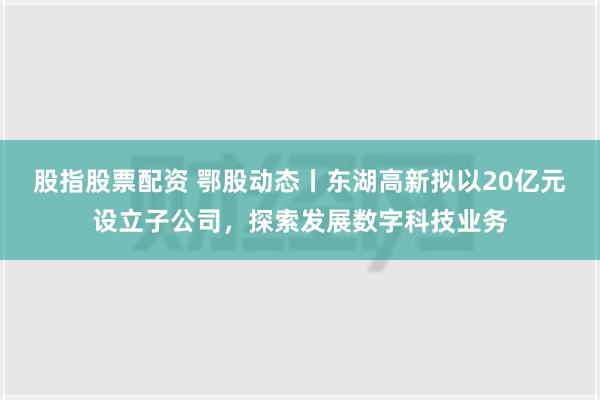 股指股票配资 鄂股动态丨东湖高新拟以20亿元设立子公司，探索发展数字科技业务