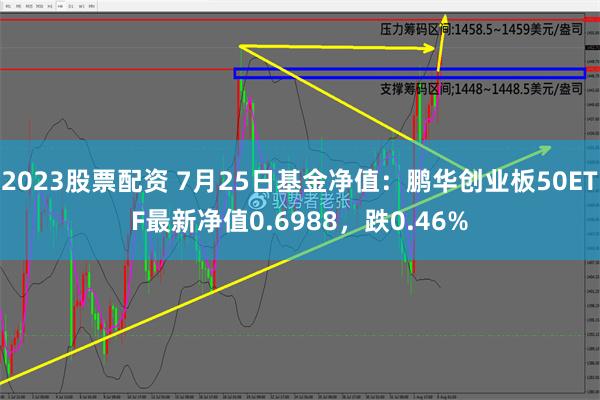 2023股票配资 7月25日基金净值：鹏华创业板50ETF最新净值0.6988，跌0.46%