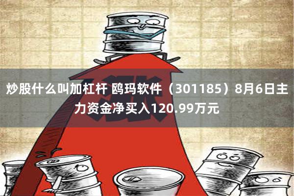 炒股什么叫加杠杆 鸥玛软件（301185）8月6日主力资金净买入120.99万元