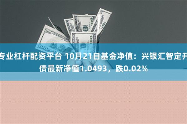 专业杠杆配资平台 10月21日基金净值：兴银汇智定开债最新净值1.0493，跌0.02%