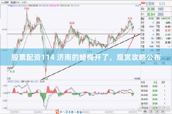 股票配资114 济南的蜡梅开了，观赏攻略公布